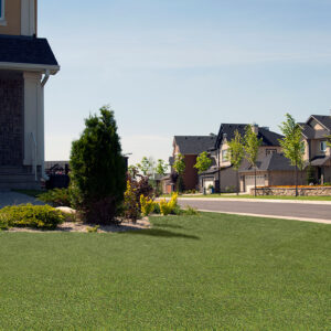 Front yard landscaping with artificial turf and manicured shrubs in suburban neighborhood