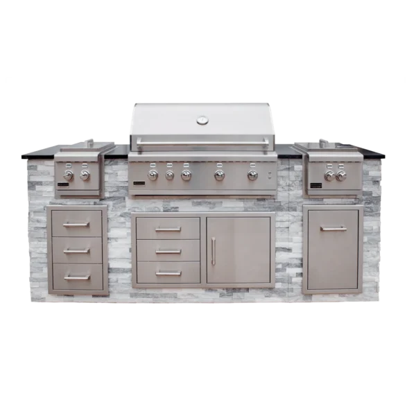 Stainless BSG424 Built-in